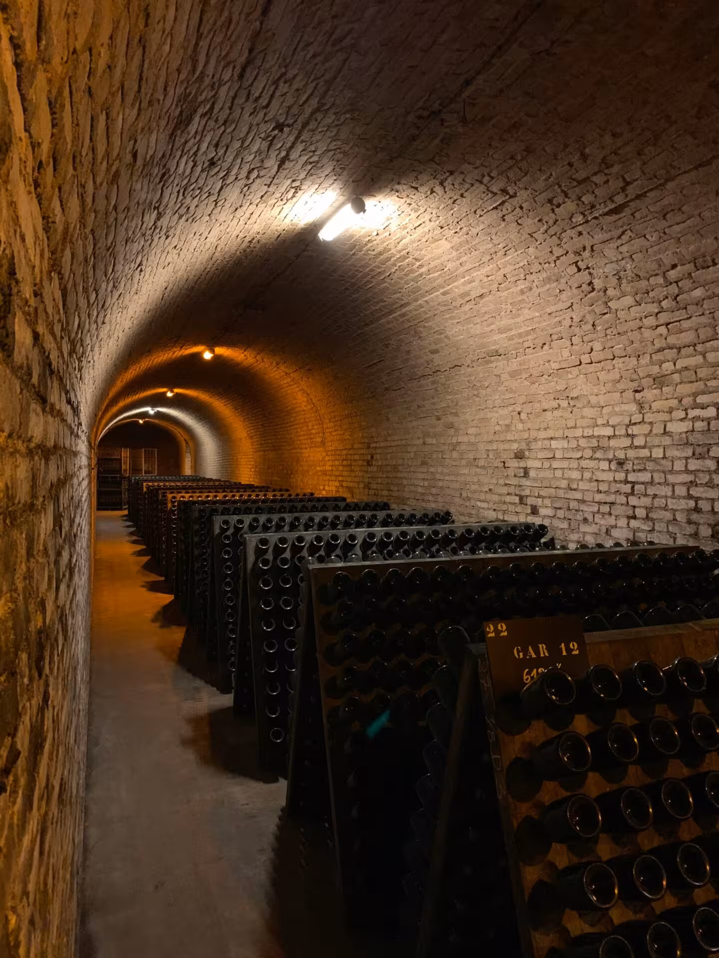 Tunnel sotterraneo di una cantina vinicola toscana con soffitto a volta.