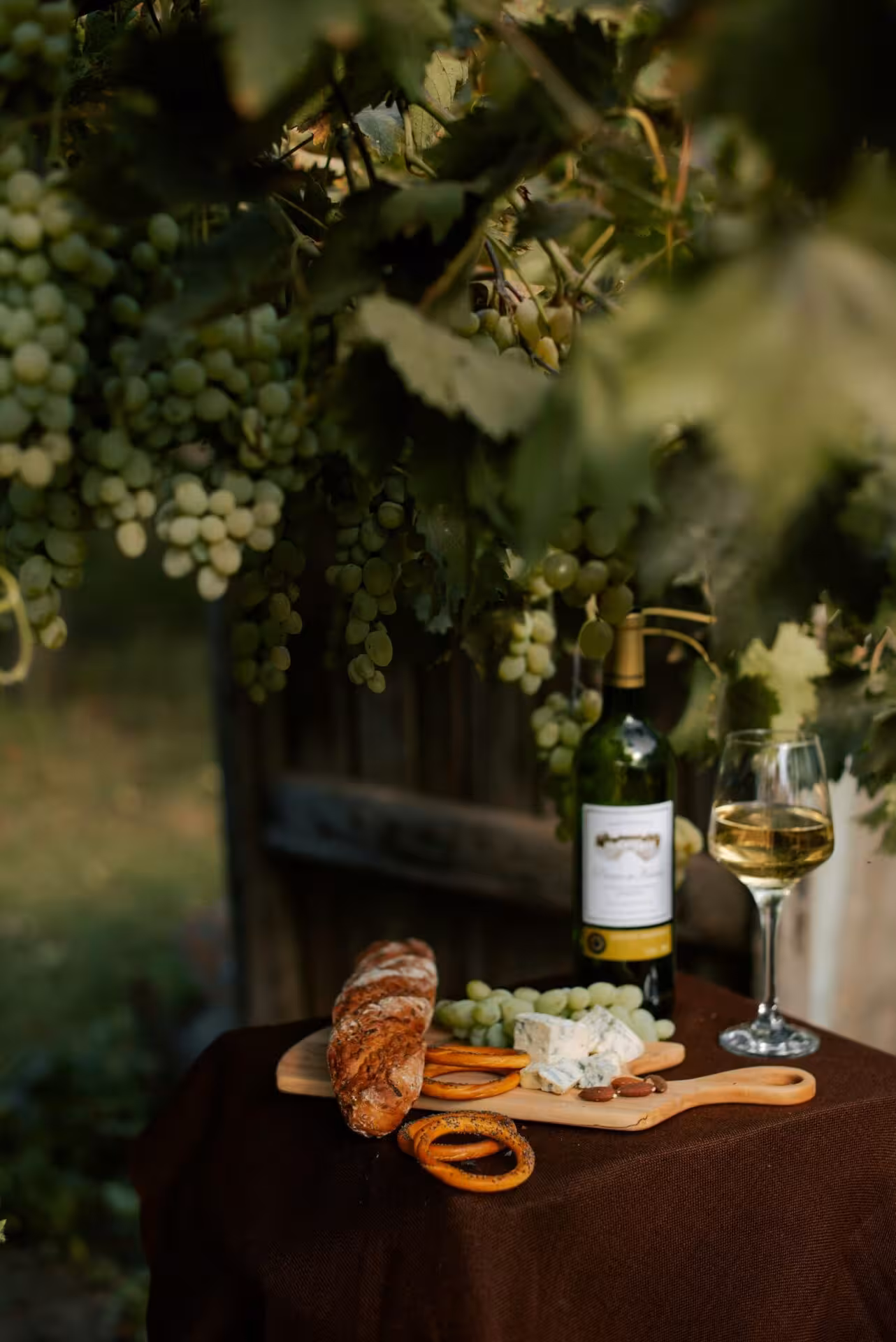 Composizione di uva, vino rosso e prodotti tipici in una cantina toscana.